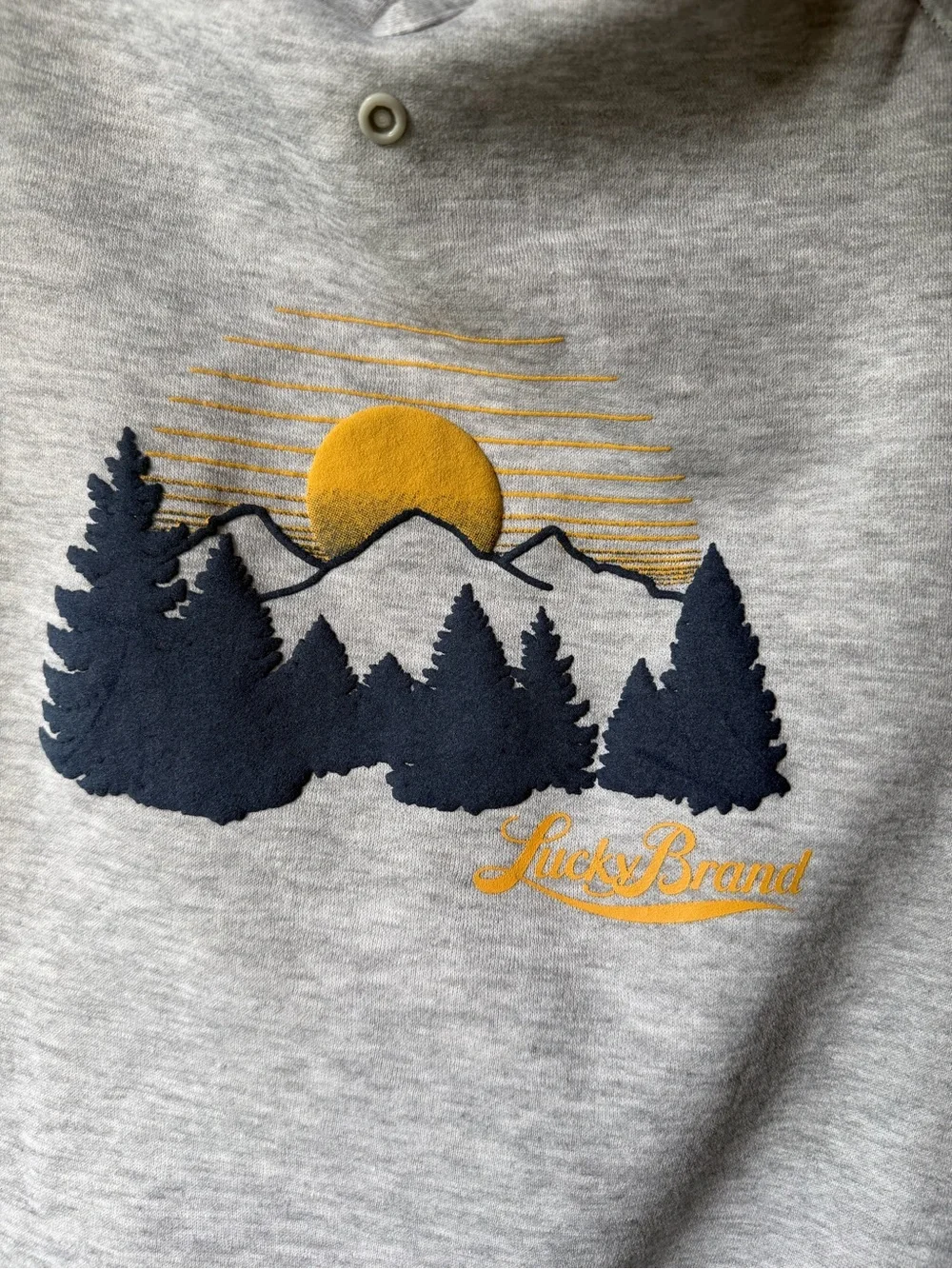 Lucky Brand Mountain Graphic Medium Dog Hoodie Gray